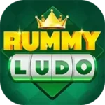 rummy-ludo-hero-banner